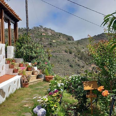 Agulo Casa Maria 빌라 외부 사진