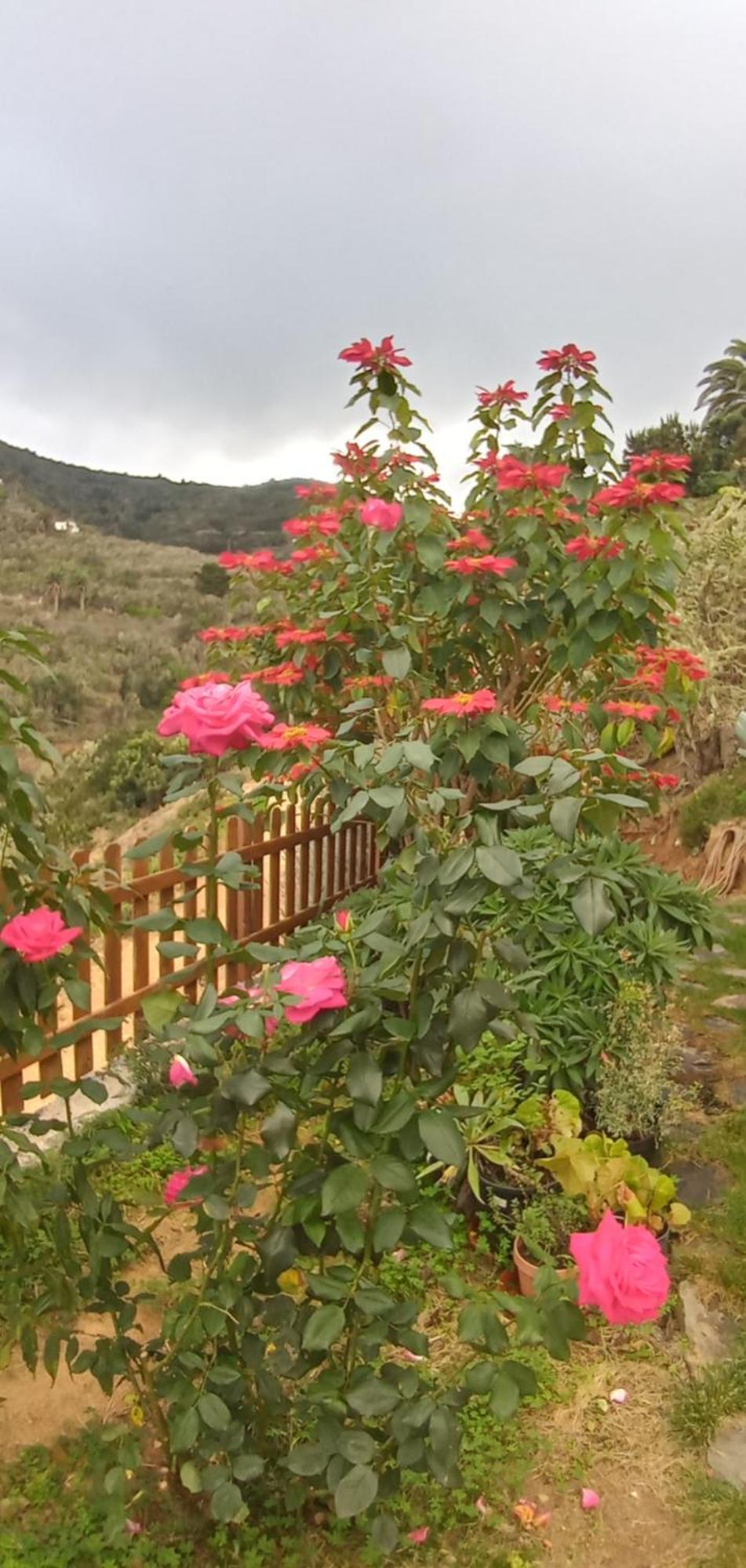Agulo Casa Maria 빌라 객실 사진